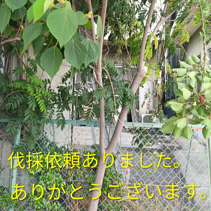 画像1823