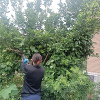画像1914